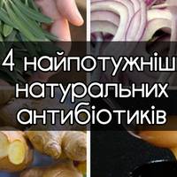 14 антибіотиків, які є в природі і які захистять від 90% хвороб