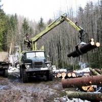 Жителі села Гончарівка незаконно вирубували заповідник