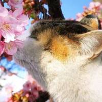 Весна – на порозі: На Тернопільщину йде довгоочікуване тепло