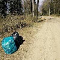 У першій загальноміській толоці взяли участь понад 2000 тернополян