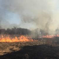 З настанням весни на Тернопільщині почастішали випадки горіння сухої трави