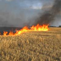 Рятувальники області розповіли про небезпеку спалювання сухої трави та інших рослинних залишків