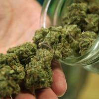 Попався на гарячому: 27-річний тернополянин у авто перевозив наркотичну сировину