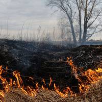 Протягом останньої доби на Тернопільщині 4 рази ліквідовували загоряння сухої трави