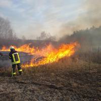 На Тернопільщині продовжує горіти суха трава та очерет