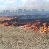 Минулої доби на Тернопільщині рятувальники тричі залучалися до ліквідації пожеж сухої трави
