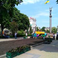На бульварі Шевченка висадили квіти