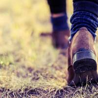 На Підволочищині 13-річна школярка втекла до лісу, бо боялася покарання за погану поведінку