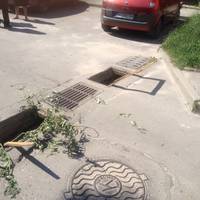 На вулиці Липовій викрали п’ять дощеприймальних решіток (ФОТО)
