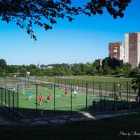 Біля школи №29 відкрили нове реконструйоване футбольне поле (ВІДЕО)