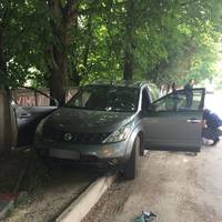 На Тернопільщині хабарник втікав від поліції і вїхав у дерево