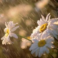 Синоптики розповіли, коли на Тернопільщині потепліє