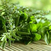 Збережіть собі! Корисні властивості зелені (ІНФОГРАФІКА)