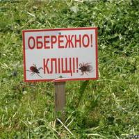 У якому з тернопільських парків найбільше кліщів?