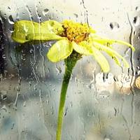 На Тернопільщині оголошено штормове попередження