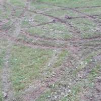 На Тернопільщині невідомі знищили поле на стадіоні і міні-ворота