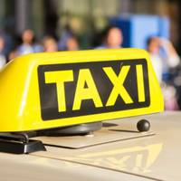 Тернопільські таксі беруть додаткову плату за перевезення тварин