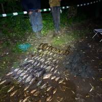 Браконьєрська знахідка: на Зборівщині у порушників вилучено 17 кг риби (ФОТО)