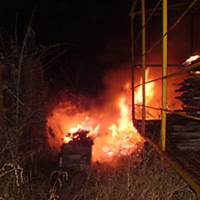 Під Тернополем невідомі спалили 10 вуликів