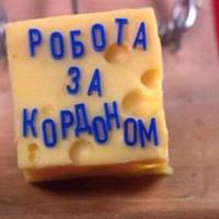 Жителів Тернопільщини застерігають від оманливих пропозицій роботи за кордоном (ВІДЕО)