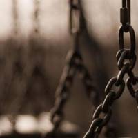 На Тернопільщині чоловік знайшов на гойдалці вбитого їжака (ФОТО)