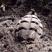 Цього року на Тернопільщині виявлено 407 боєприпасів часів минулих воєн