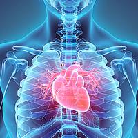 Тернопільські медики провели понад 400 операцій на серці