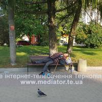 На бульварі Данила Галицького просто неба живе жінка, яку вигнали з дому (ФОТО)