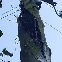 Жителі селища  на Збаражчині бояться, що аварійна електроопора наробить біди (ФОТО)
