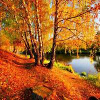 Синоптики розповіли, яка погода очікує на тернополян восени