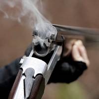 На Теребовлянщині пяний неадекват стріляв по сусідських вікнах