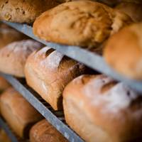 Хліб у Тернополі подорожчав і ще буде дорожчати