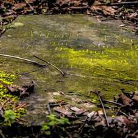 На Тернопільщині знайдена загадкова могила закоханих, яких похоронили заживо (ФОТО 18+)