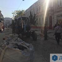 Тернопіль: на вулиці Чорновола встановлюють червонолисті клени. Фото