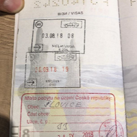 Живе в Чехії, а порушує в Тернополі: Мажор хизується в мережі тим, що йому плювати на правила (ВІДЕО)