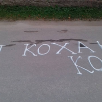 На Тернопільщинні романтичне вибачення вважають хуліганством (Фото)