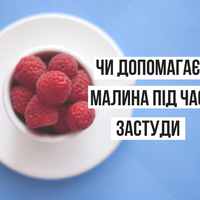 Уляна Супрун розповіла, чи допомагає малина під час застуди