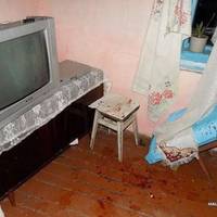 Била трубою та вилами: 19-річну дівчину судитимуть за вбивство ровесниці