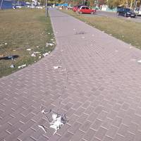 Молодята після виїзної церемонії на 