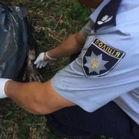 Загадкова смерть матері і сина на Тернопільщині