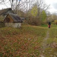 Дорога заросла травою – на Чортківщині є село де забули що таке цивілізація. Фото