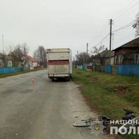 Під колеса вантажівки потрапила велосипедистка на Борщівщині (Відео) (Фото)