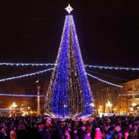Тернопільська новорічна ялинка може стати «Міс-Ялинкою-2018» України