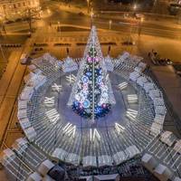 Найгарніші ялинки світу - 2019