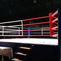 Тернопільські боксерки здобули три перемоги на Чемпіонаті України