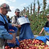 «Б’ють та забирають паспорти, почуваєшся рабом», – історії українських заробітчан у Польщі
