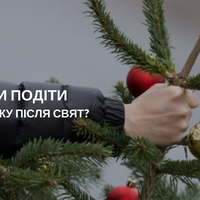 Тернополянам розповіли, куди подіти новорічну ялинку після свят