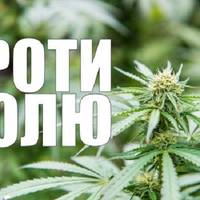 Тернополяни зможуть курити марихуану законно