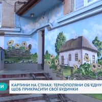 Мешканці багатоповерхівок в Тернополі створюють шедеври у дворах