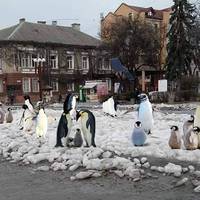 Хто відповідає за такий 